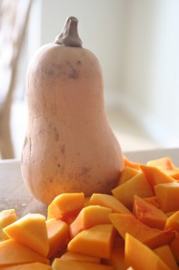 Butternut Squash, courtesy of The Official Body Building Blog
